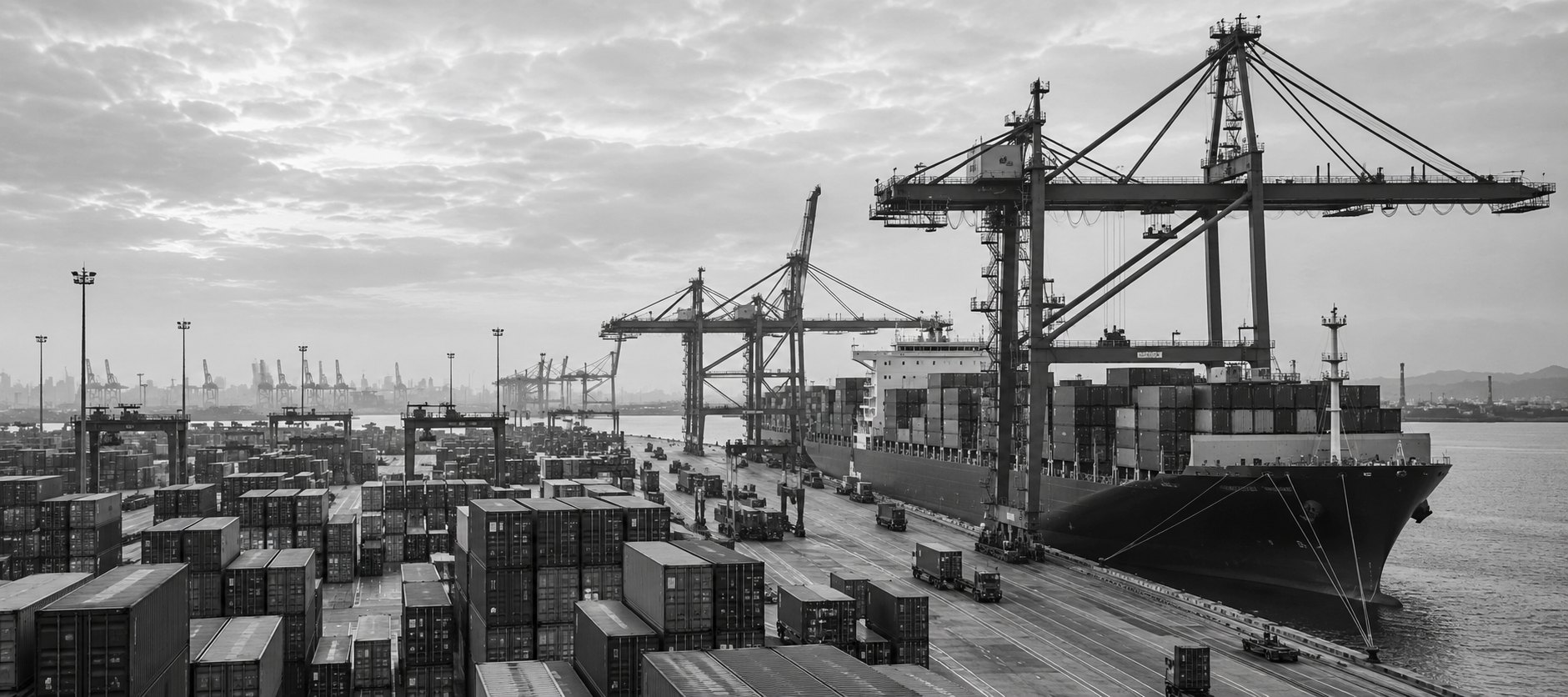 Monochrome view of shipping containers and cranes at a working port